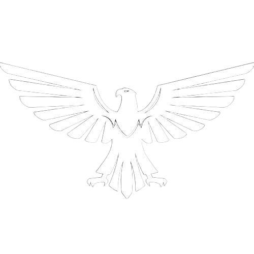 القراصنة جروب